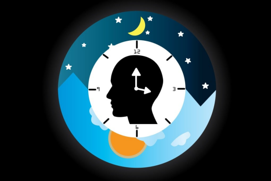 The Holistic Metabolic Science Guide: Circadian Rhythms, Microbiota, and Weight Loss